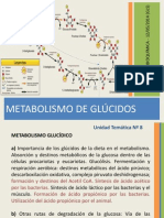 Clase de Bioquímica - Metabolismo de Glúcidos 2014 