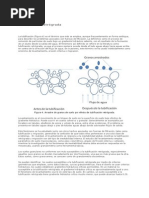 Tubificación Retrógrada