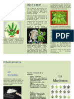 Triptico La Marihuana1