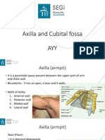 Axilla and Cubital Fossa (AYY)