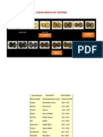 CURVA BASICA DE TOSTION Y TOSTADOS (Presentación Harvest) PDF