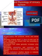 Anatomi Dan Fisiologi Perkemihan