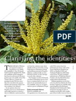 Clarifying The Identities of Two Nepalese Mahonia