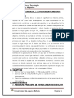 Informe de Comercializacion de Hidrocarburos