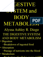 Digestive System and Body Metabolism: Alyssa Ashley R. Diego