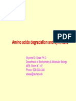 Amino Acids Overview