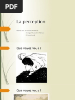 La Perception2