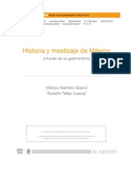 Historia Del Mestizaje PDF