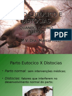 Palestra Parto e Distocias em Cães - Quando Intervir