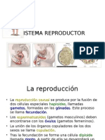 Sistema Reproductor