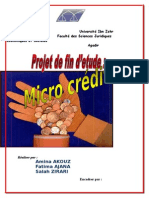 Micro Credit