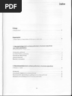 Neuropsicología de Las Funciones Ejecutivas y La Corteza P.F.