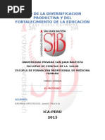 PDF Documento