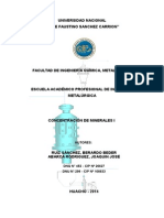 Practica de Concentracion de Minerales I