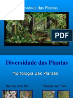 Diversidade Das Plantas