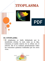 Cito Plasma