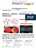 Differences Between Staphylococcus and Streptococcus - Microbiology Notes