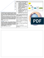 Dogma Central de La Biologia Molecular