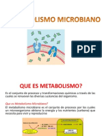 Metabolismo Microbiano