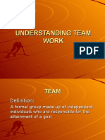 Understanding Team Work