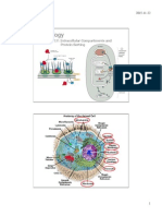 Cell Biology: Lecture 223.17: Intracellular Compartments and Protein Sorting