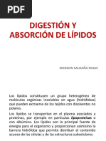 001-Digestión y Absorción de Lípidos