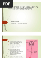 7 Organizacion de La Medula Espinal para Las Funciones Motoras