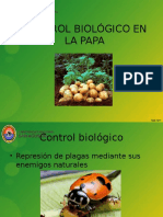 Control Biológico en La Papa