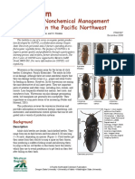 Wireworm - Biology and Nonchemical Management in Potatoes 