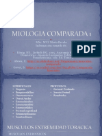 Miologia Comparada 1