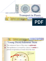 Transport in Plants