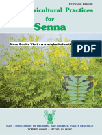 Senna Plant