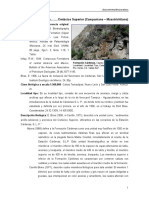 Cardenas PDF