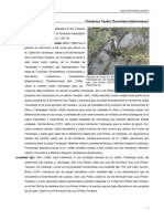 Tamasopo PDF