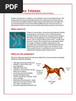 Equine Tetanus 202C