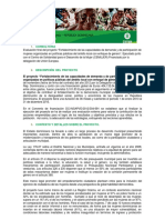 TDR Evaluación Proyecto