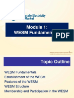 Module 1-WESM Fundamentals