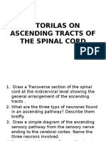 Tutorilas On Ascending Tracts of The Spinal Cord