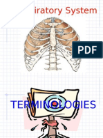 Pulmonary System