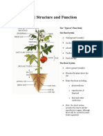 Plant Structure and Function