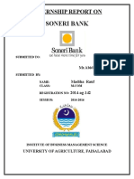 Soneri Bank: Internship Report On