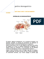 Sistema Digestivo Monogastrico