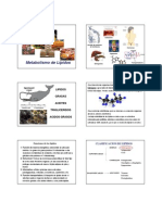 11 Metabolismo de Los Lipidos Kine