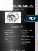 Cavernous Veinous Thrombosis