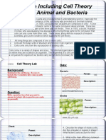 Cheek Cell Lab