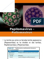 Papiloma y Poliomavirus