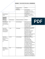 Clasificación de La Hormonas