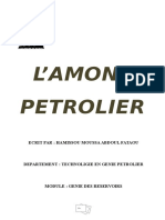 L'amont Petrolier