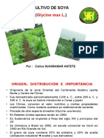 Cultivo de Soya 07