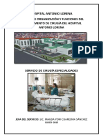 Manual de Organización y Funciones Del Departamento de Cirugía Del Hospital Antonio Lorena